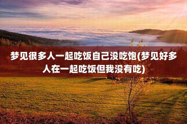 梦见很多人一起吃饭自己没吃饱(梦见好多人在一起吃饭但我没有吃)