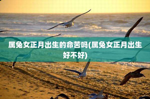 属兔女正月出生的命苦吗(属兔女正月出生好不好)