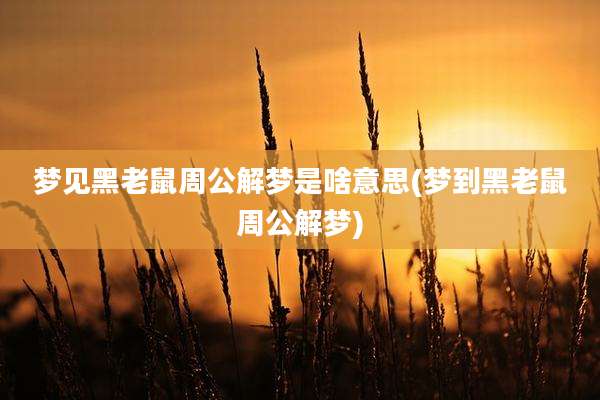 梦见黑老鼠周公解梦是啥意思(梦到黑老鼠周公解梦)