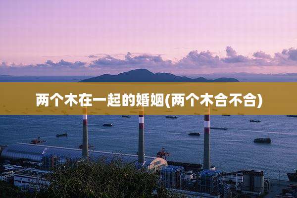 两个木在一起的婚姻(两个木合不合)