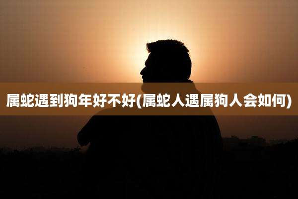 属蛇遇到狗年好不好(属蛇人遇属狗人会如何)