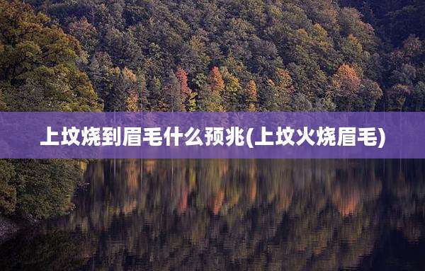 上坟烧到眉毛什么预兆(上坟火烧眉毛)