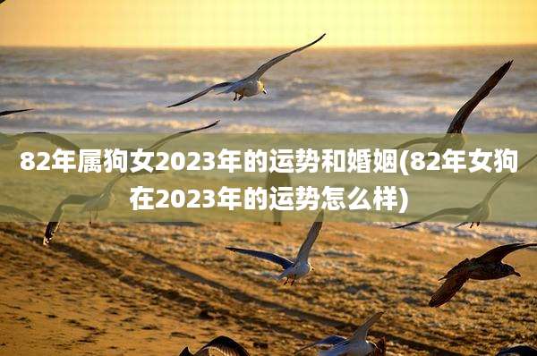 82年属狗女2023年的运势和婚姻(82年女狗在2023年的运势怎么样)