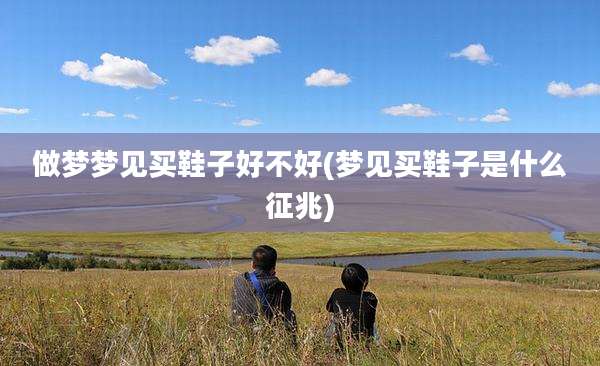 做梦梦见买鞋子好不好(梦见买鞋子是什么征兆)
