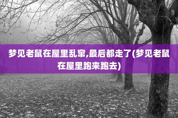 梦见老鼠在屋里乱窜,最后都走了(梦见老鼠在屋里跑来跑去)