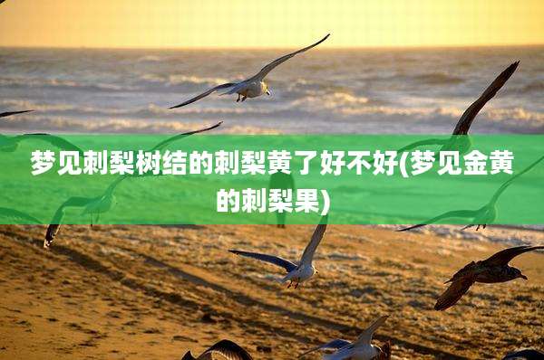 梦见刺梨树结的刺梨黄了好不好(梦见金黄的刺梨果)