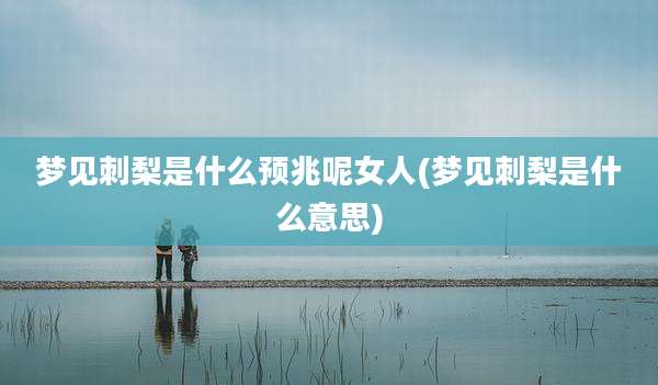 梦见刺梨是什么预兆呢女人(梦见刺梨是什么意思)