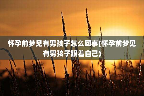 怀孕前梦见有男孩子怎么回事(怀孕前梦见有男孩子跟着自己)