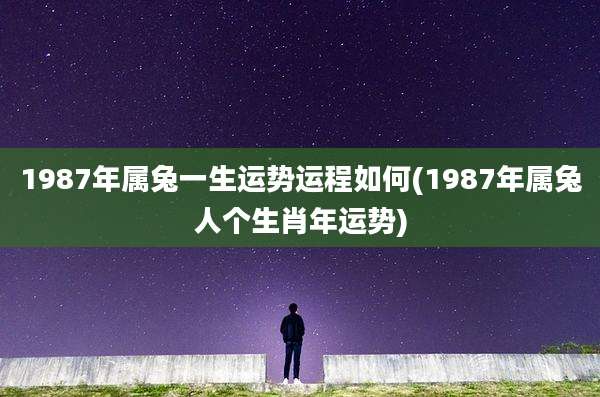 1987年属兔一生运势运程如何(1987年属兔人个生肖年运势)