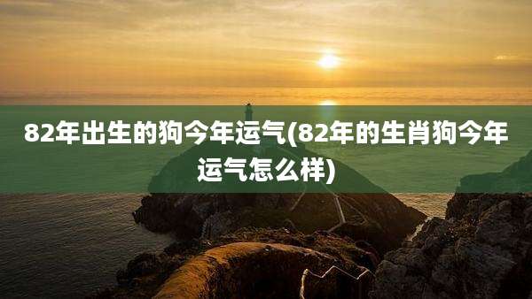 82年出生的狗今年运气(82年的生肖狗今年运气怎么样)