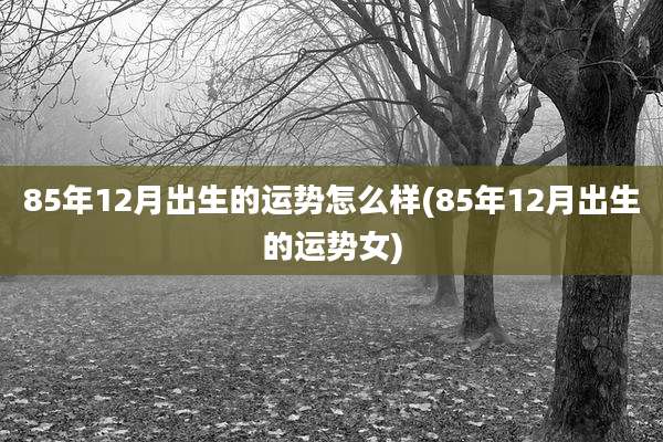85年12月出生的运势怎么样(85年12月出生的运势女)