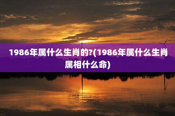 1986年属什么生肖的?(1986年属什么生肖属相什么命)