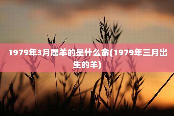 1979年3月属羊的是什么命(1979年三月出生的羊)