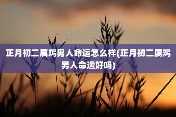 正月初二属鸡男人命运怎么样(正月初二属鸡男人命运好吗)