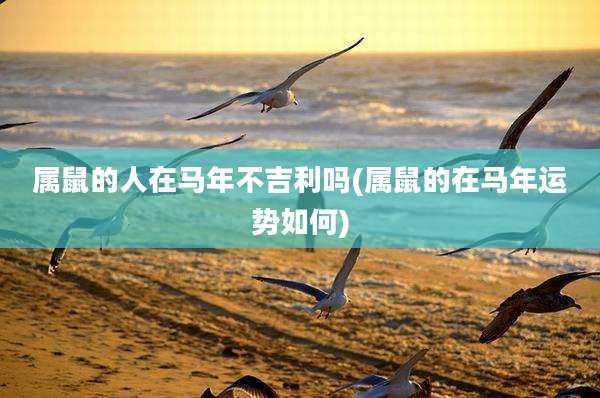 属鼠的人在马年不吉利吗(属鼠的在马年运势如何)
