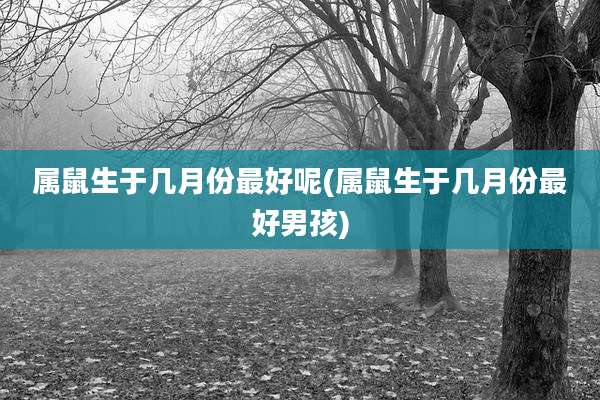 属鼠生于几月份最好呢(属鼠生于几月份最好男孩)
