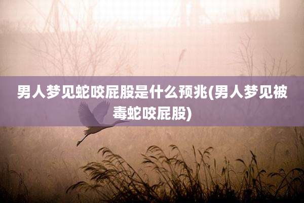 男人梦见蛇咬屁股是什么预兆(男人梦见被毒蛇咬屁股)