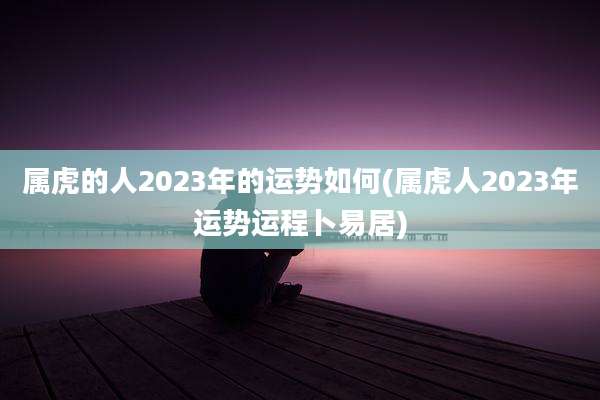 属虎的人2023年的运势如何(属虎人2023年运势运程卜易居)