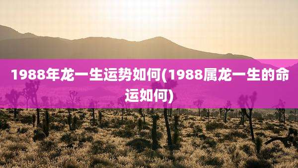 1988年龙一生运势如何(1988属龙一生的命运如何)