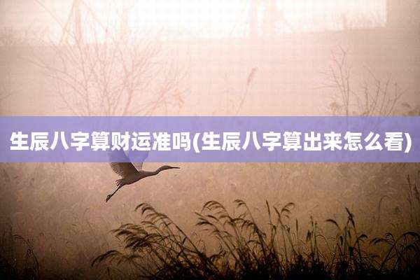 生辰八字算财运准吗(生辰八字算出来怎么看)