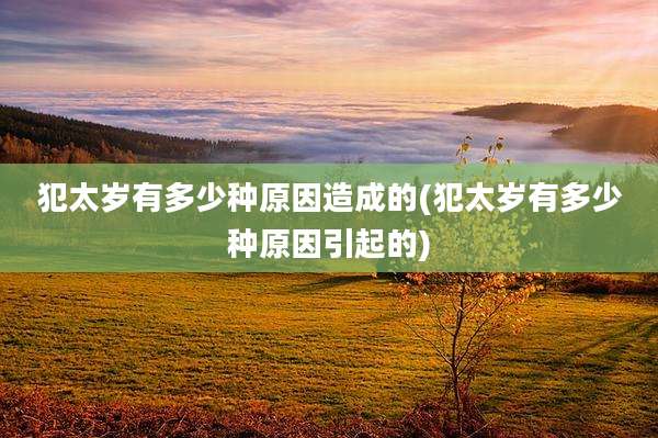 犯太岁有多少种原因造成的(犯太岁有多少种原因引起的)