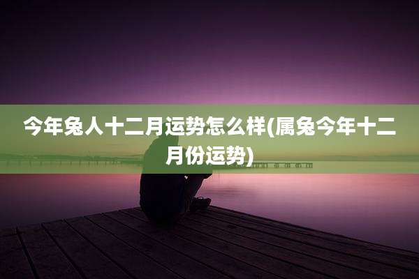 今年兔人十二月运势怎么样(属兔今年十二月份运势)