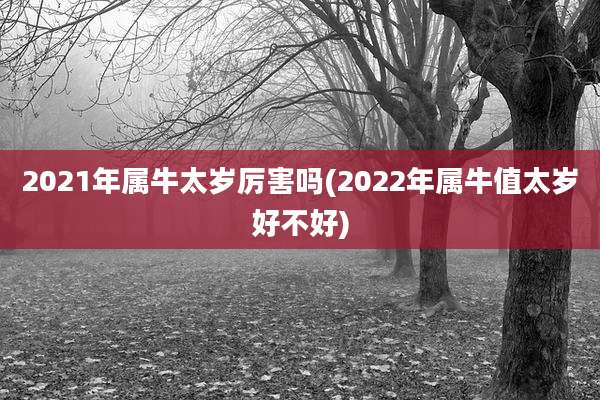 2021年属牛太岁厉害吗(2022年属牛值太岁好不好)