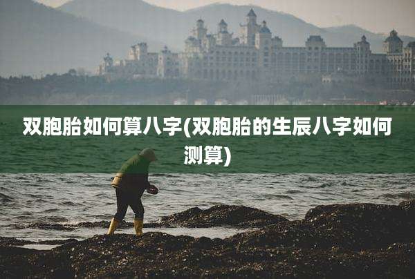 双胞胎如何算八字(双胞胎的生辰八字如何测算)