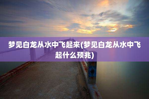 梦见白龙从水中飞起来(梦见白龙从水中飞起什么预兆)