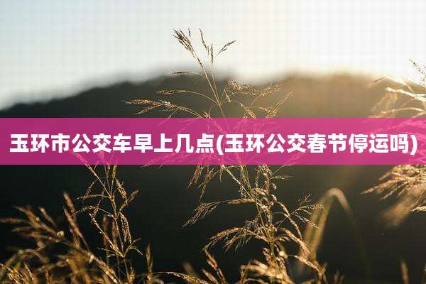 玉环市公交车早上几点(玉环公交春节停运吗)