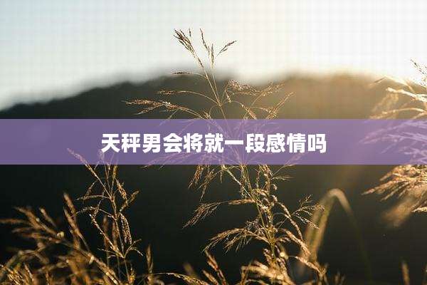 天秤男会将就一段感情吗