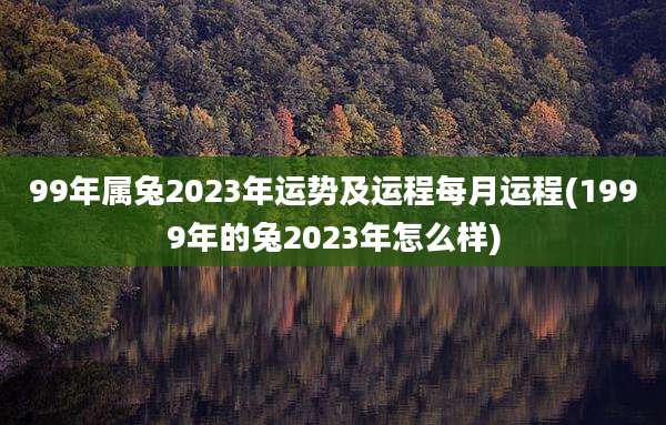 99年属兔2023年运势及运程每月运程(1999年的兔2023年怎么样)