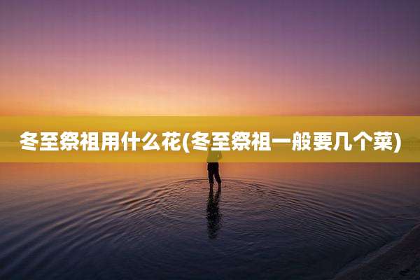 冬至祭祖用什么花(冬至祭祖一般要几个菜)