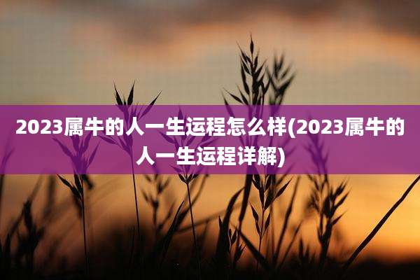 2023属牛的人一生运程怎么样(2023属牛的人一生运程详解)