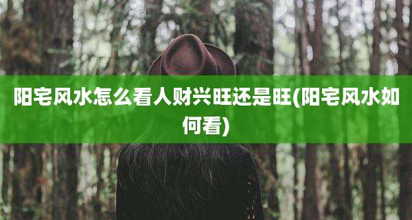 阳宅风水怎么看人财兴旺还是旺(阳宅风水如何看)