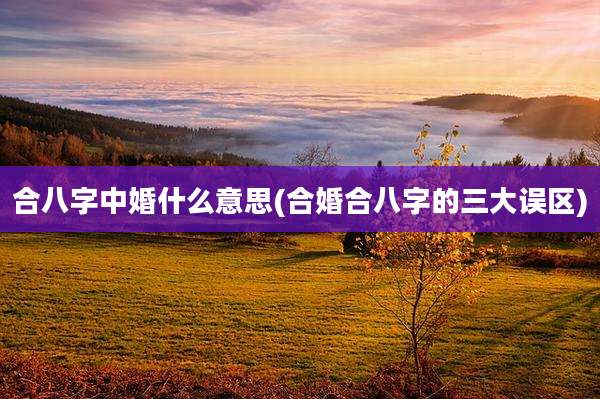 合八字中婚什么意思(合婚合八字的三大误区)