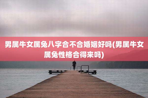男属牛女属兔八字合不合婚姻好吗(男属牛女属兔性格合得来吗)