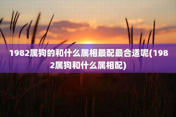 1982属狗的和什么属相最配最合适呢(1982属狗和什么属相配)