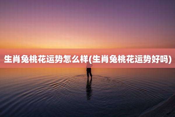 生肖兔桃花运势怎么样(生肖兔桃花运势好吗)