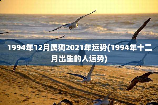 1994年12月属狗2021年运势(1994年十二月出生的人运势)