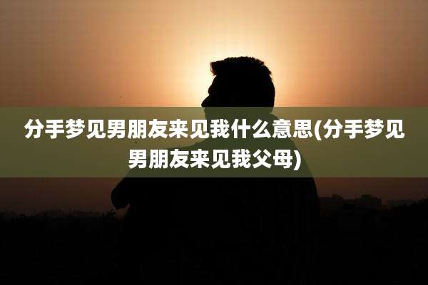分手梦见男朋友来见我什么意思(分手梦见男朋友来见我父母)