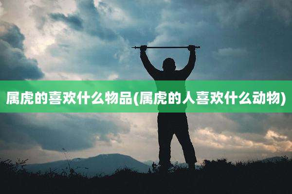 属虎的喜欢什么物品(属虎的人喜欢什么动物)