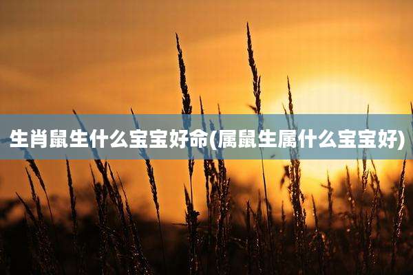 生肖鼠生什么宝宝好命(属鼠生属什么宝宝好)