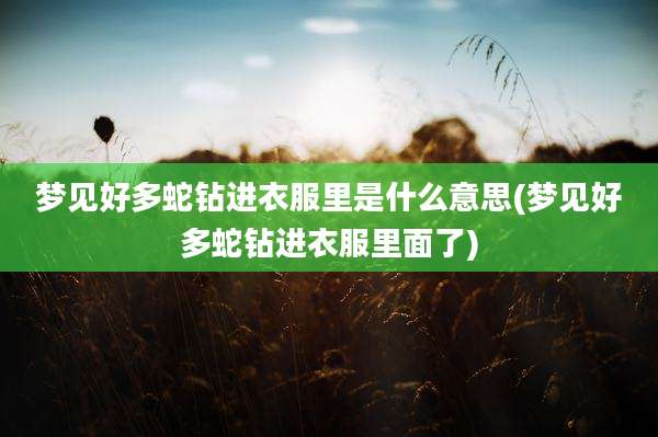 梦见好多蛇钻进衣服里是什么意思(梦见好多蛇钻进衣服里面了)