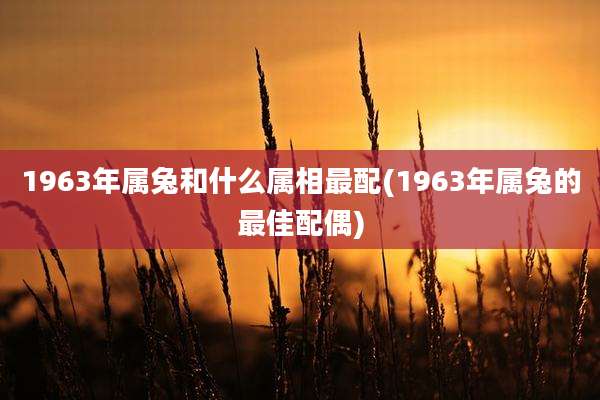 1963年属兔和什么属相最配(1963年属兔的最佳配偶)