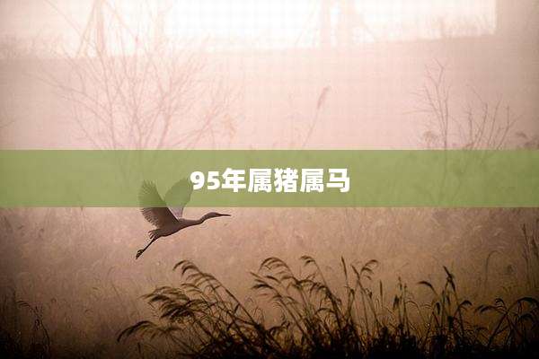 95年属猪属马