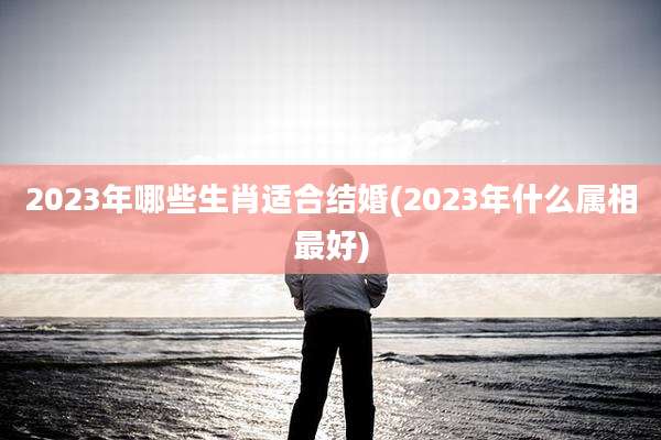 2023年哪些生肖适合结婚(2023年什么属相最好)