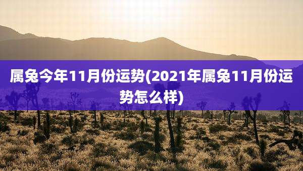 属兔今年11月份运势(2021年属兔11月份运势怎么样)