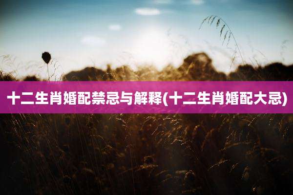 十二生肖婚配禁忌与解释(十二生肖婚配大忌)
