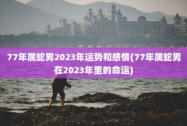 77年属蛇男2023年运势和感情(77年属蛇男在2023年里的命运)